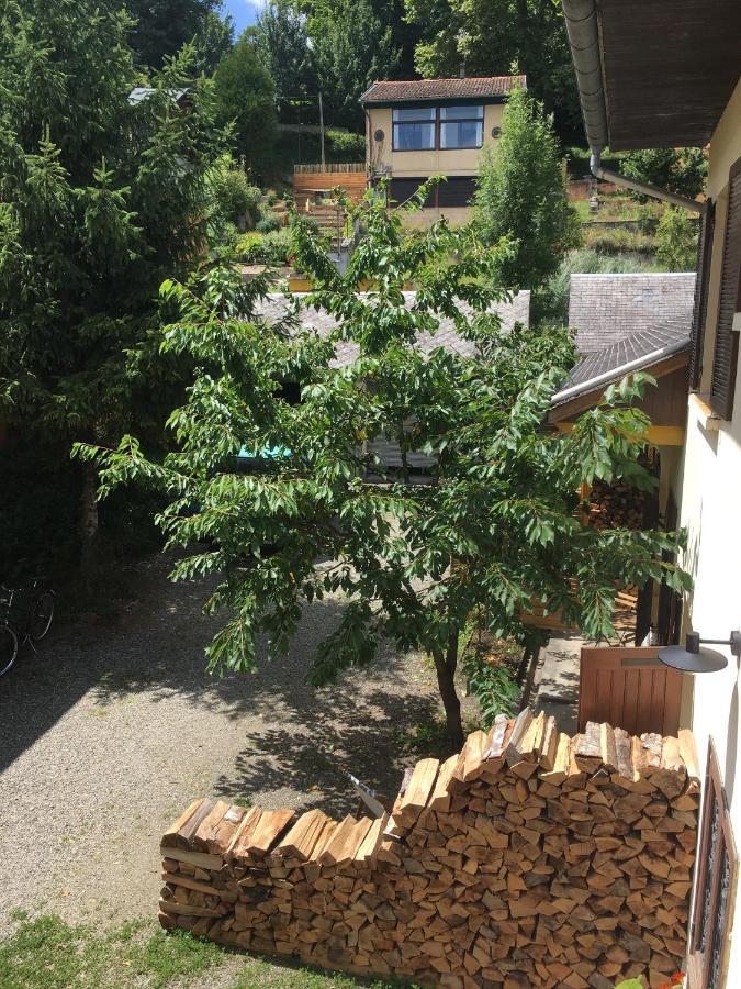 Charmant Appartement Sur Cour, Le Cerisier Bagnères-de-Bigorre Εξωτερικό φωτογραφία