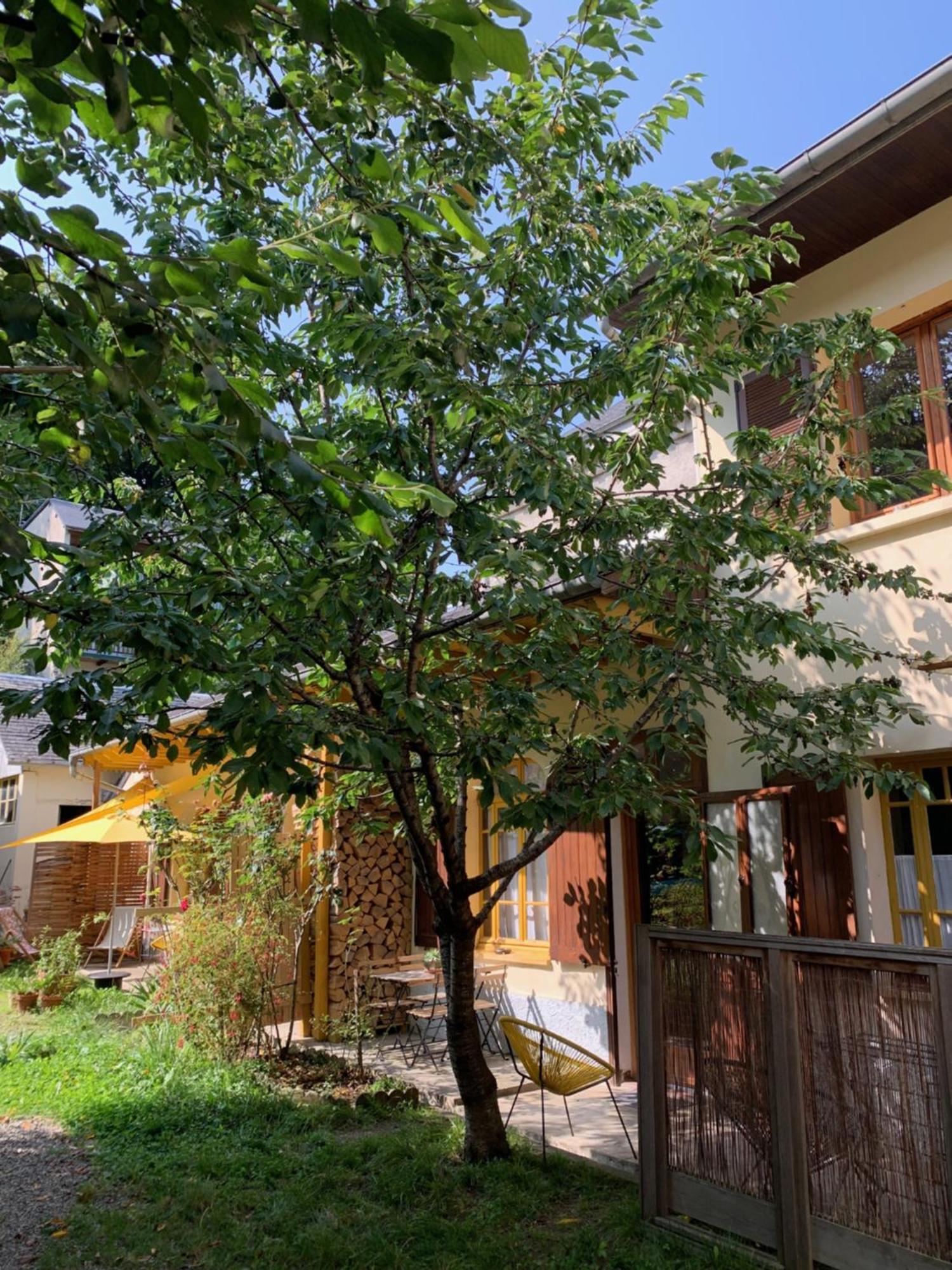 Charmant Appartement Sur Cour, Le Cerisier Bagnères-de-Bigorre Εξωτερικό φωτογραφία