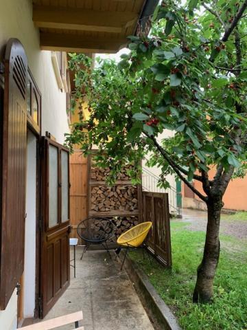 Charmant Appartement Sur Cour, Le Cerisier Bagnères-de-Bigorre Εξωτερικό φωτογραφία