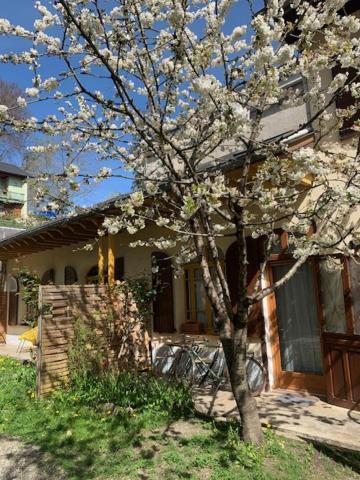 Charmant Appartement Sur Cour, Le Cerisier Bagnères-de-Bigorre Εξωτερικό φωτογραφία